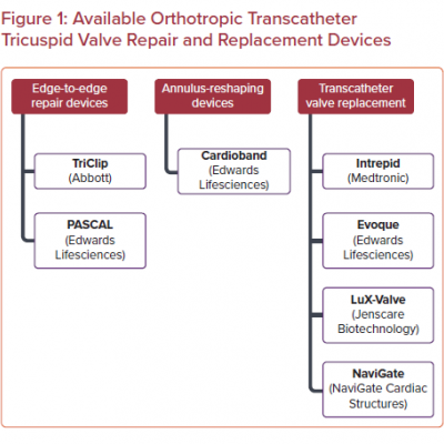 Available Orthotropic Transcatheter Tricuspid Valve Repair and Replacement Devices