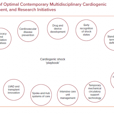 Key Components of Optimal Contemporary Multidisciplinary Cardiogenic Shock Diagnosis Management and Research Initiatives