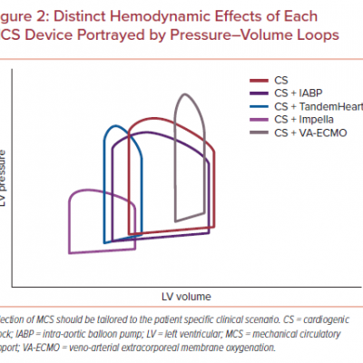 Distinct Hemodynamic Effects of Each MCS Device Portrayed by Pressure–Volume Loops