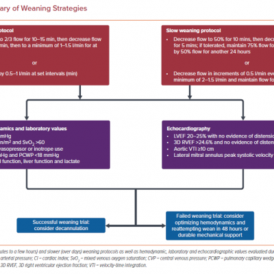 Summary of Weaning Strategies