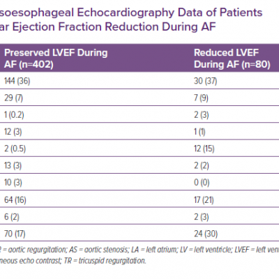 Precardioversion Transoesophageal Echocardiography Data of Patients with and without Left Ventricular Ejection Fraction Reduction During AF
