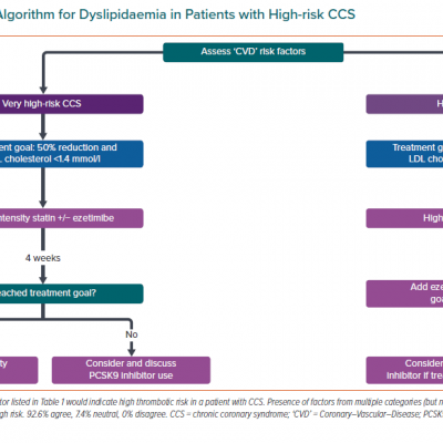 Treatment Algorithm for Dyslipidaemia in Patients with High-risk CCS
