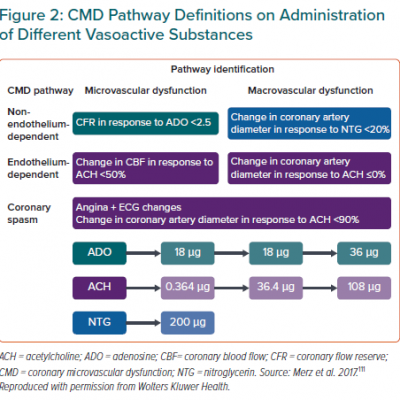 CMD Pathway Definitions on Administration of Different Vasoactive Substances