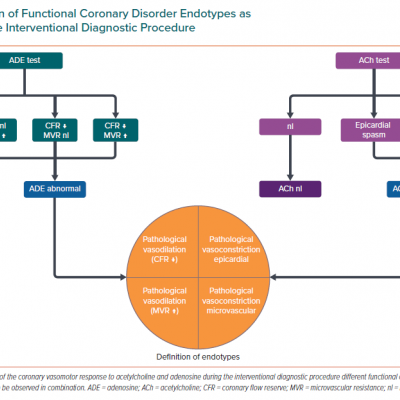 Definition of Functional Coronary Disorder Endotypes as Determined by the Interventional Diagnostic Procedure