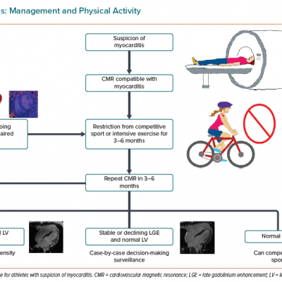 Myocarditis Management and Physical Activity