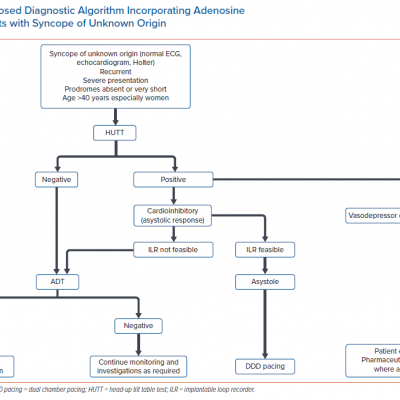 Proposed Diagnostic Algorithm Incorporating Adenosine Test for Patients with Syncope of Unknown Origin