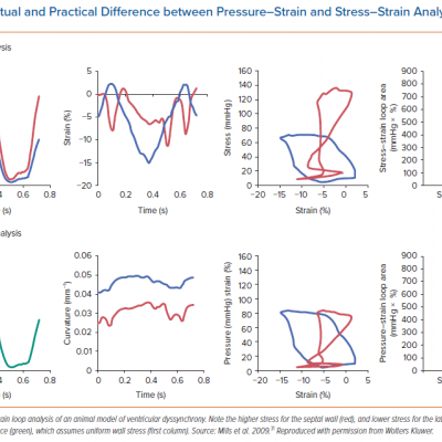 Conceptual and Practical Difference between Pressure–Strain and Stress–Strain Analysis