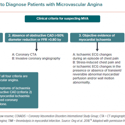 COVADIS Criteria to Diagnose Patients with Microvascular Angina