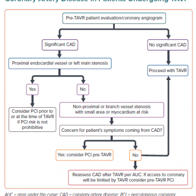 Proposed Algorithm for the Management of Coronary Artery Disease in Patients Undergoing TAVI