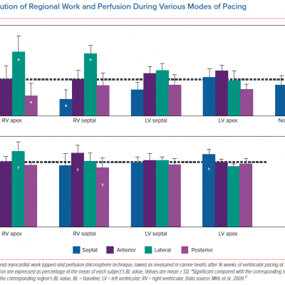 Distribution of Regional Work and Perfusion During Various Modes of Pacing
