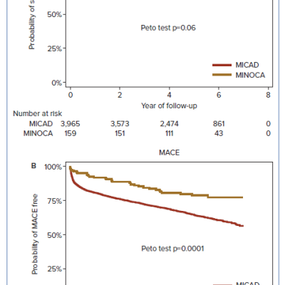 Cumulative Incidence of Primary Outcomes in MINOCA