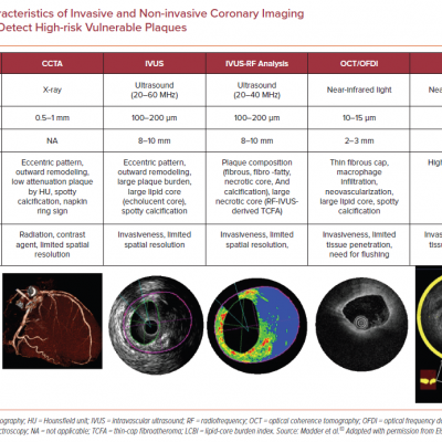 Characteristics of Invasive and Non-invasive Coronary Imaging Modalities to Detect High-risk Vulnerable Plaques