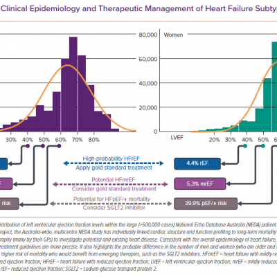 Indicative Clinical Epidemiology and Therapeutic Management of Heart Failure Subtypes