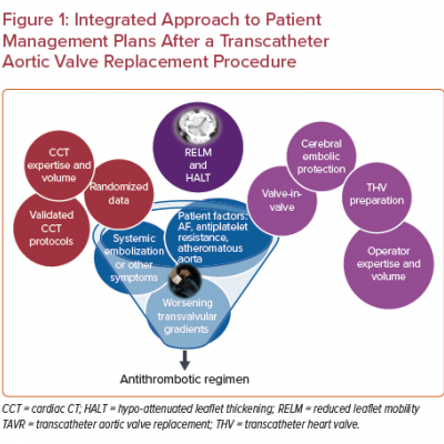 Integrated Approach to Patient Management Plans After a Transcatheter Aortic Valve Replacement Procedure