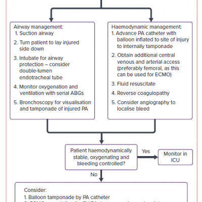 Proposed Flow Chart for Management of Iatrogenic Pulmonary Artery Injury During Right Heart Catheterisation
