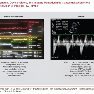 Hemodynamic Device-related and Imaging Hemodynamic Contextualization in the Weaning of Transvalvular Microaxial Flow Pumps