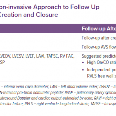 Summary of a Suggested Non-invasive Approach to Follow Up Patients After Arteriovenous Shunt Creation and Closure