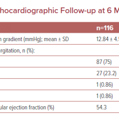 Echocardiographic Follow-up at 6 Months