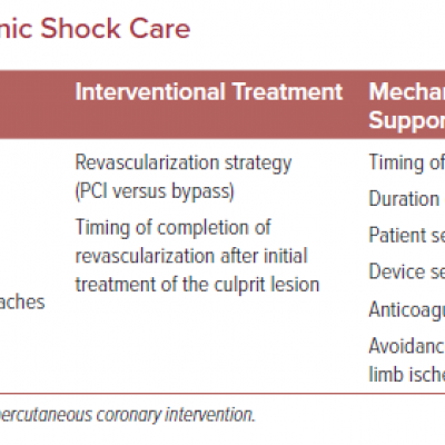 Unresolved Issues in Cardiogenic Shock Care