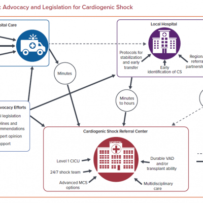 Central Illustration Advocacy and Legislation for Cardiogenic Shock