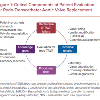 Critical Components of Patient Evaluation for Redo-Transcatheter Aortic Valve Replacement