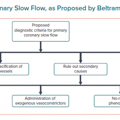 Diagnostic Criteria for Coronary Slow Flow as Proposed by Beltrame 2012