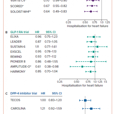 HRs for Hospitalisation for Heart Failure Endpoint of Cardiovascular Outcomes