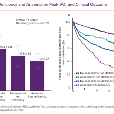 Impact of Iron Deficiency and Anaemia on Peak VO2 and Clinical Outcome