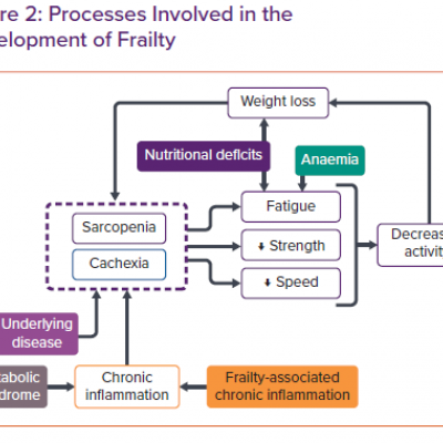 Processes Involved in the Development of Frailty