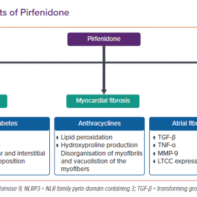 Cardiac Protective Effects of Pirfenidone