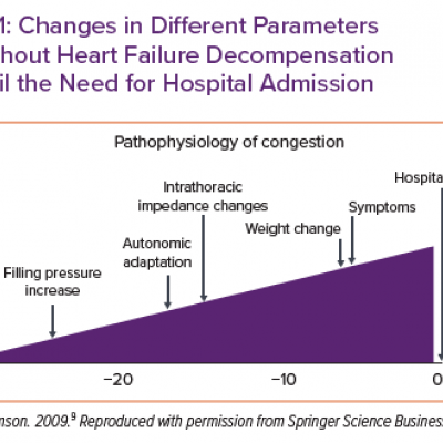 Changes in Different Parameters Throughout Heart Failure Decompensation Up Until the Need for Hospital Admission