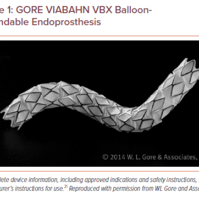 GORE VIABAHN VBX BalloonExpandable Endoprosthesis