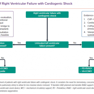 Management of Right Ventricular Failure with Cardiogenic Shock