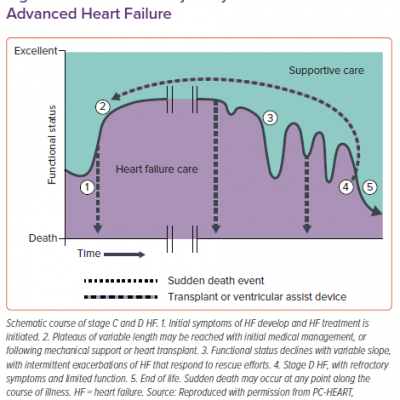 The Disease Trajectory in Advanced Heart Failure