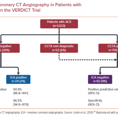 Performance of Coronary CT Angiography in Patients with Acute Coronary Syndrome in the VERDICT Trial