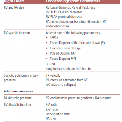 Echocardiographic Qualitative and Quantitative Parameters of the Right Heart