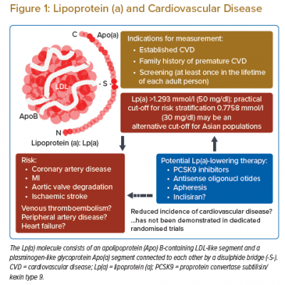 Lipoprotein a and Cardiovascular Disease
