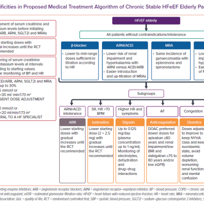 Specificities in Proposed Medical Treatment Algorithm of Chronic Stable HFeEF Elderly Patients