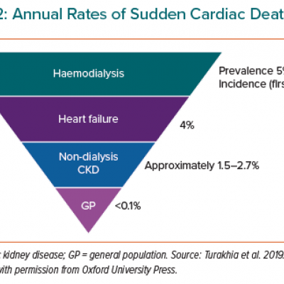 Annual Rates of Sudden Cardiac Death