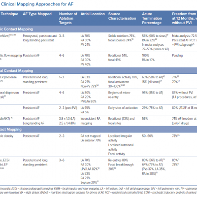 Clinical Mapping Approaches for AF
