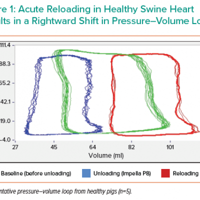 Acute Reloading in Healthy Swine Heart Results in a Rightward Shift in Pressure–Volume Loops