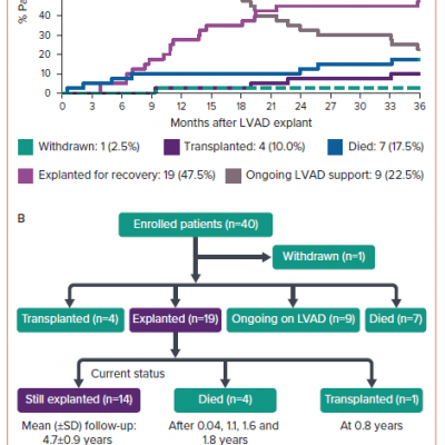 Competing Outcomes PostLVAD All Enrolled n 40