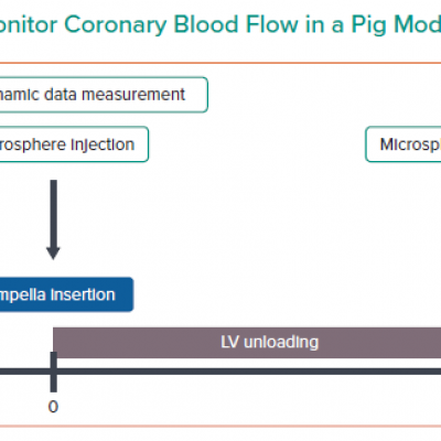 Experimental Scheme to Monitor Coronary Blood Flow in a Pig Model of MI