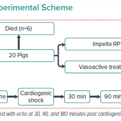 Experimental Scheme