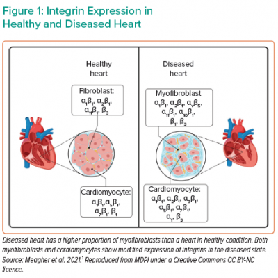 Integrin Expression in Healthy and Diseased Heart 