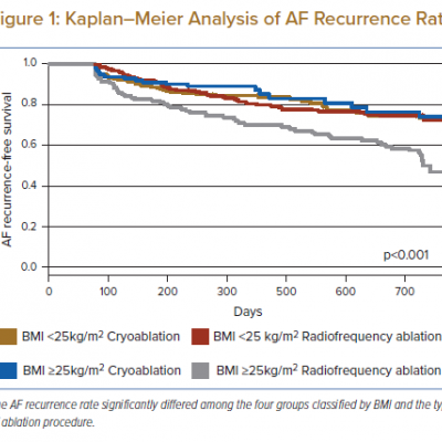 Kaplan–Meier Analysis of AF Recurrence Rate