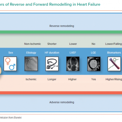 Main Predictors of Reverse and Forward Remodelling in Heart Failure