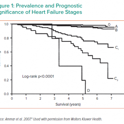 Prevalence and Prognostic Significance of Heart Failure Stages