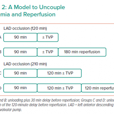 A Model to Uncouple Ischaemia and Reperfusion