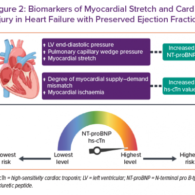 Biomarkers of Myocardial Stretch and Cardiac Injury in Heart Failure with Preserved Ejection Fraction